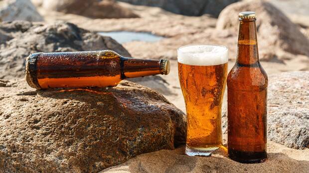 Cerveza L�pulo Sin Alcohol