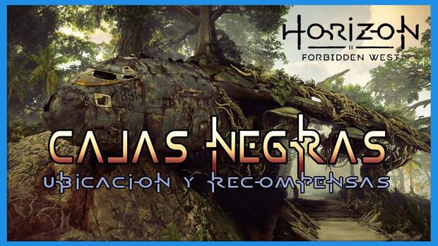 Horizon Forbidden West - Portada de Cajas negras