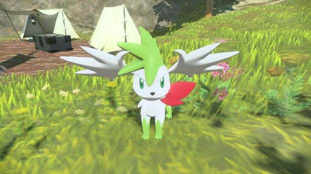 como CAPTURAR a SHAYMIN y CAMBIAR de FORMA en POKEMON LEGENDS ARCEUS  LOCALIZACION EVENTO 