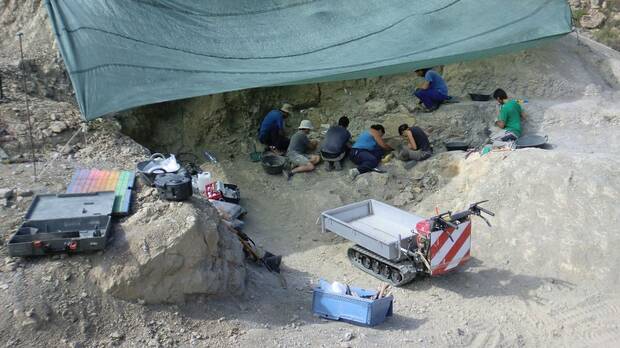 Excavación Orcau 1