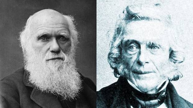 Robó Charles Darwin la teoría de la evolución? - Vandal Random