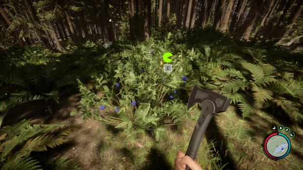 Sons of the Forest - Mantener los estados de personaje altos