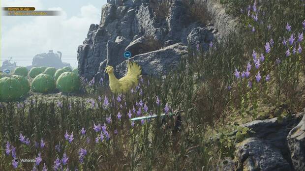 Final Fantasy VII Rebirth - El chocobo acuático de Nibel: pendiente al cebo de los chocobos