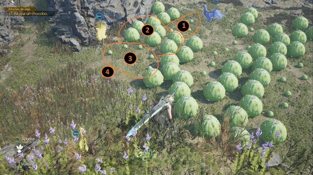 Final Fantasy VII Rebirth - El chocobo acuático de Nibel: segunda zona de cactus dividida