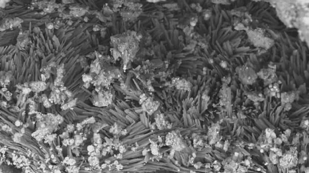 Bennu y sus componentes esenciales para la vida