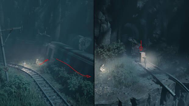 REANIMAL - Ubicaci�n del ata�d 01