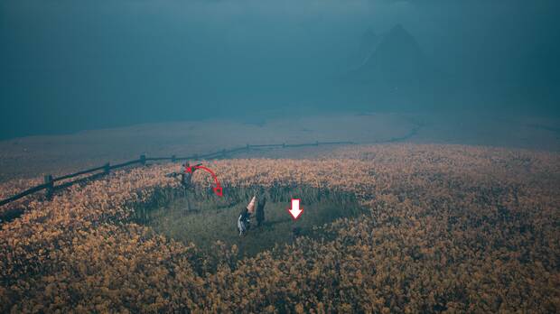 REANIMAL - Ubicaci�n de la m�scara coleccionable 06