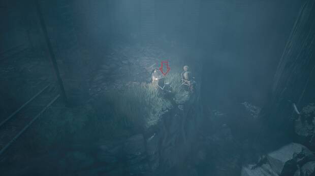 REANIMAL - Ubicación del lugar de descanso 02