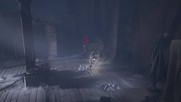 REANIMAL - Ubicación del lugar de descanso 08