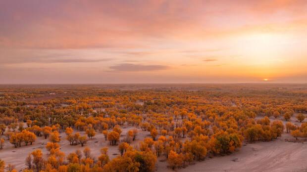 Desierto de China