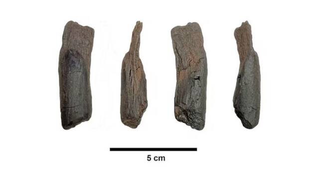 Herramientas humanas descubiertas