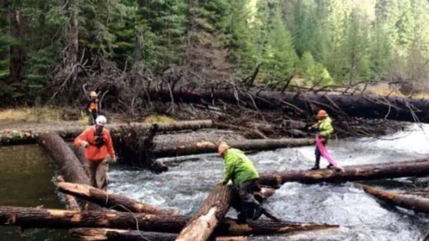 Troncos en los r�os de Estados Unidos