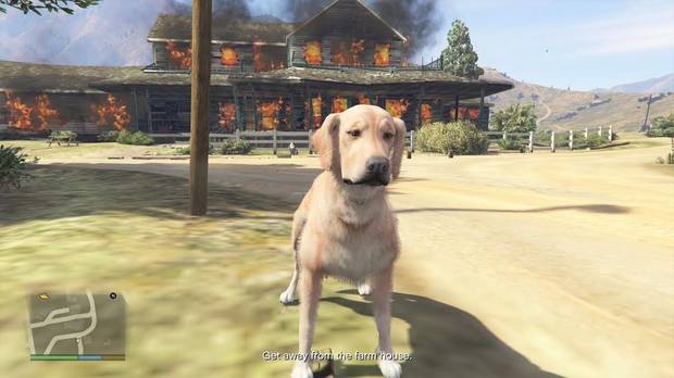 GTA Online - Animales en los que te transformas con las plantas de peyote de GTA Online