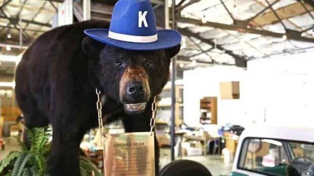Pablo Eskobear