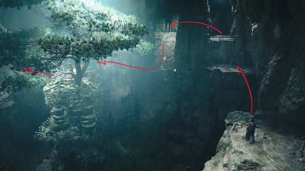 Assassin's Creed Shadows - Camino a seguir en la caverna del árbol en el Kofun de Ishibutai