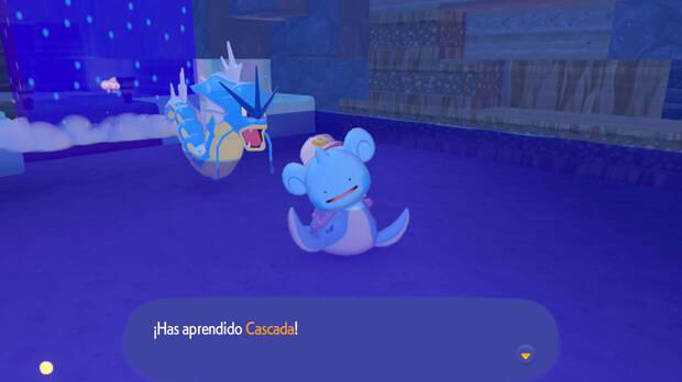 Pok�mon Pokopia - C�mo desbloquear el movimiento especial Cascada para Ditto