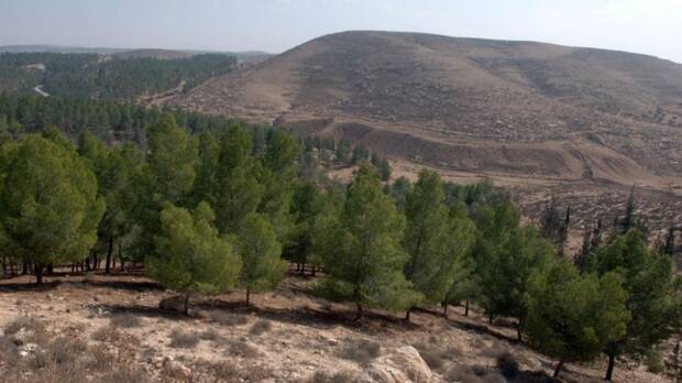 Yatir en Israel
