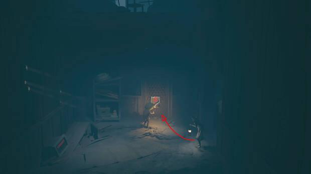 REANIMAL - Ubicaci�n del cartel de arte conceptual 18