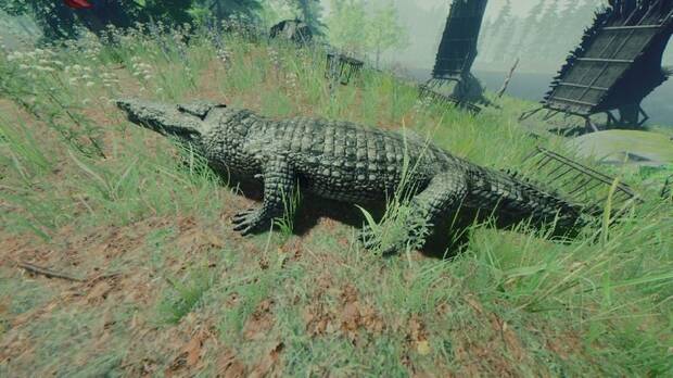 Cocodrilos en The Forest