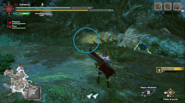 Monster Hunter Rise - Mensaje antiguo #X del Bosque inundado