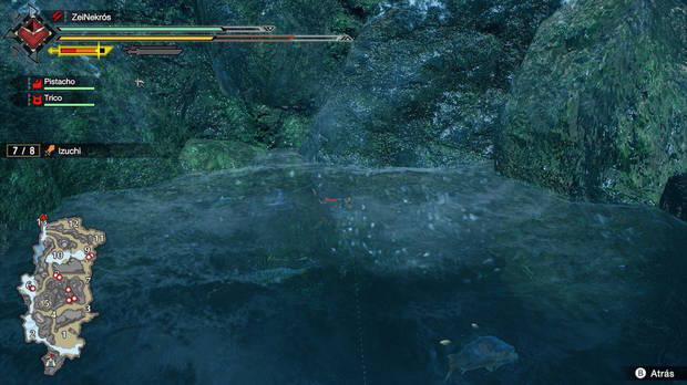 Monster Hunter Rise - Pez picando el anzuelo