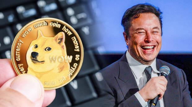 Elon Musk cambia el logo de Twitter por el de dogecoin