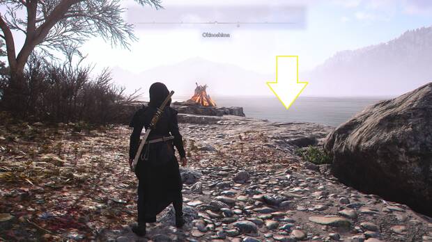 Assassin's Creed Shadows - Lugar desde el que entrar a la cueva submarina de la montura legendaria Namazu