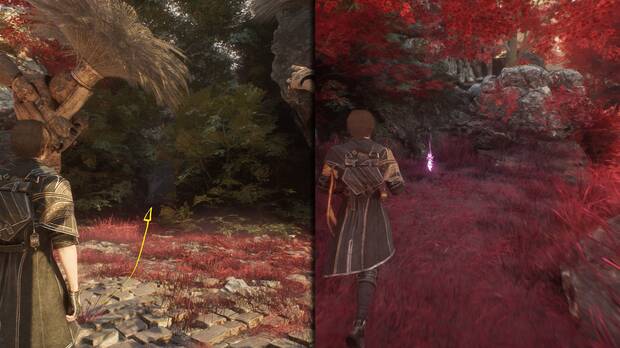 Clair Obscur: Expedition 33 - Localización de la jaula de pintura de Santuario ancestral