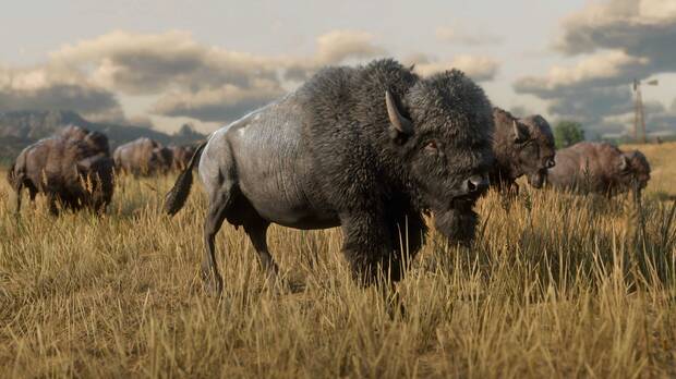 Nuevas im�genes de la fauna de Red Dead Redemption 2 Imagen 2