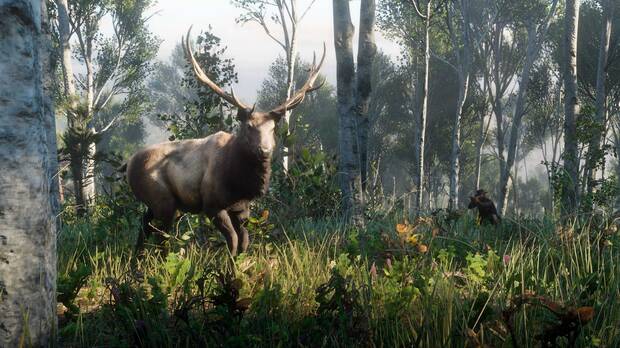 Nuevas im�genes de la fauna de Red Dead Redemption 2 Imagen 3
