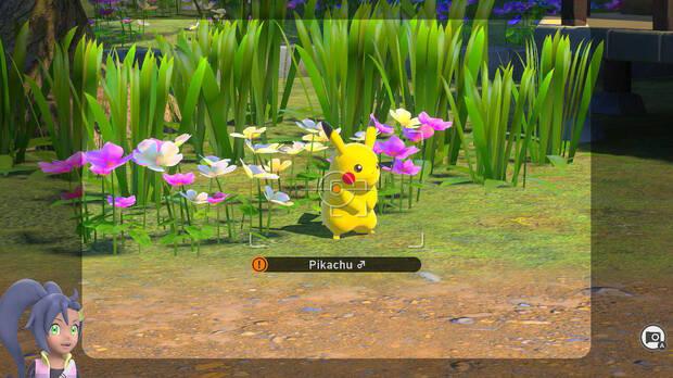 New Pokémon Snap - Cómo conseguir grandes fotos