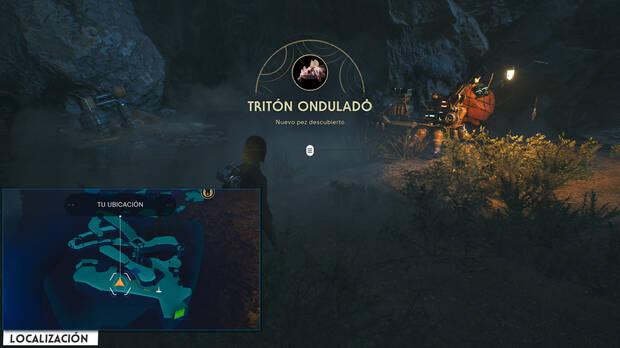 Star Wars Jedi: Survivor - Localización del pez Tritón ondulado