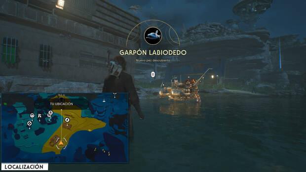 Star Wars Jedi: Survivor - Localización del pez Garpón labiodedo