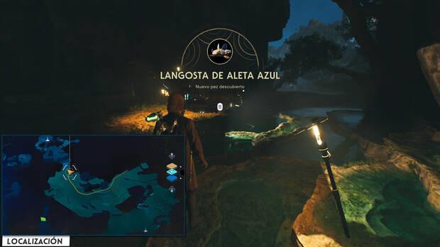 Star Wars Jedi: Survivor - Localización del pez Langosta de aleta azul