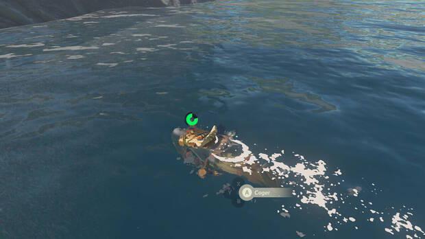 Zelda: Tears of the Kingdom - Pescar peces con las manos