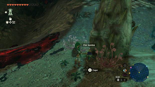 Zelda: Tears of the Kingdom - Encontrar flores bombas en el subsuelo