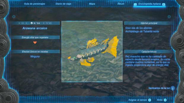 Zelda: Tears of the Kingdom - Ficha de información del arowana arcaico