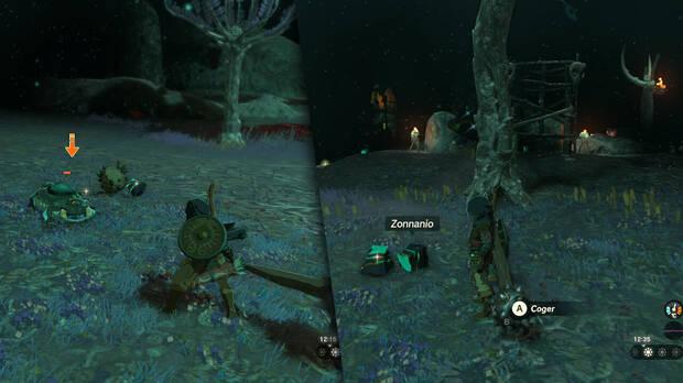 Zelda: Tears of the Kingdom - Conseguir zonnanio matando enemigos del subsuelo