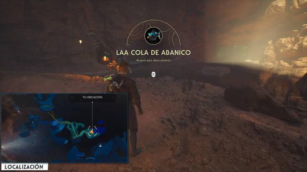 Star Wars Jedi: Survivor - Localización del pez Laa cola de abanico