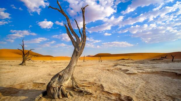 Desierto