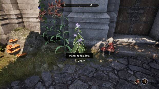The Elder Scrolls IV: Oblivion Remastered - Mephala, planta de belladona en la universidad arcana