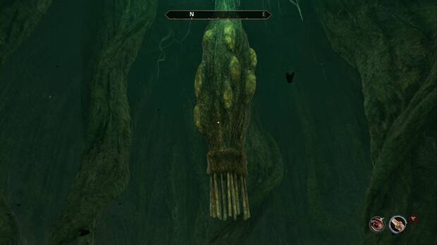The Elder Scrolls IV: Oblivion Remastered - Las raíces de la locura, crisálida de gnarl manso