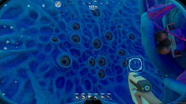 Subnautica 2 - Leviatanes, h�bitats y comportamientos; ojos del Mandibunte observando