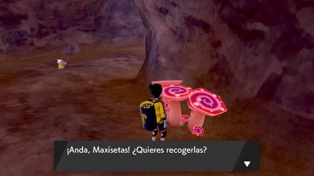 Pokémon Espada y Escudo - Segunda prueba de la Isla de la Armadura