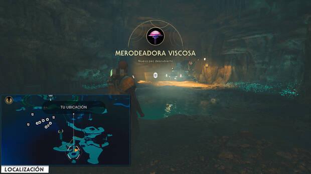 Star Wars Jedi: Survivor - Localización del Pez Merodeadora viscosa