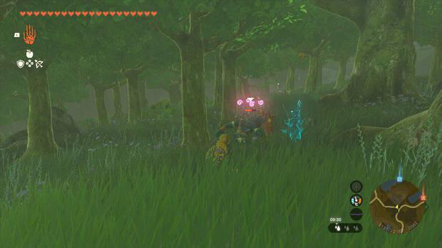Zelda: Tears of the Kingdom - Enemigo aturdido con una flor aturdidora