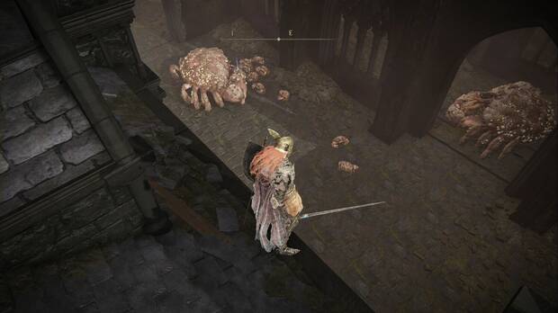 Elden Ring: Shadow of the Erdtree - Fortaleza Sombra: cangrejos gigantes en la zona inferior del distrito inundado