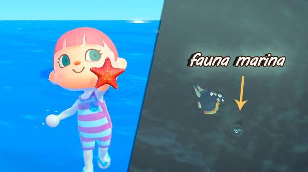 Animal Crossing: New Horizons - Realizar pesca marítima y donarla al museo