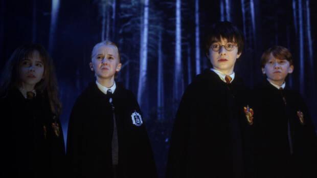Bosque Perdido Harry Potter