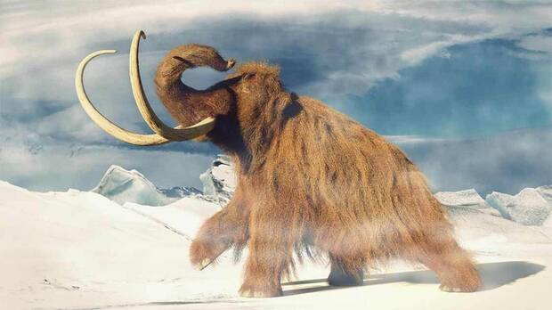 Mamut Clonado